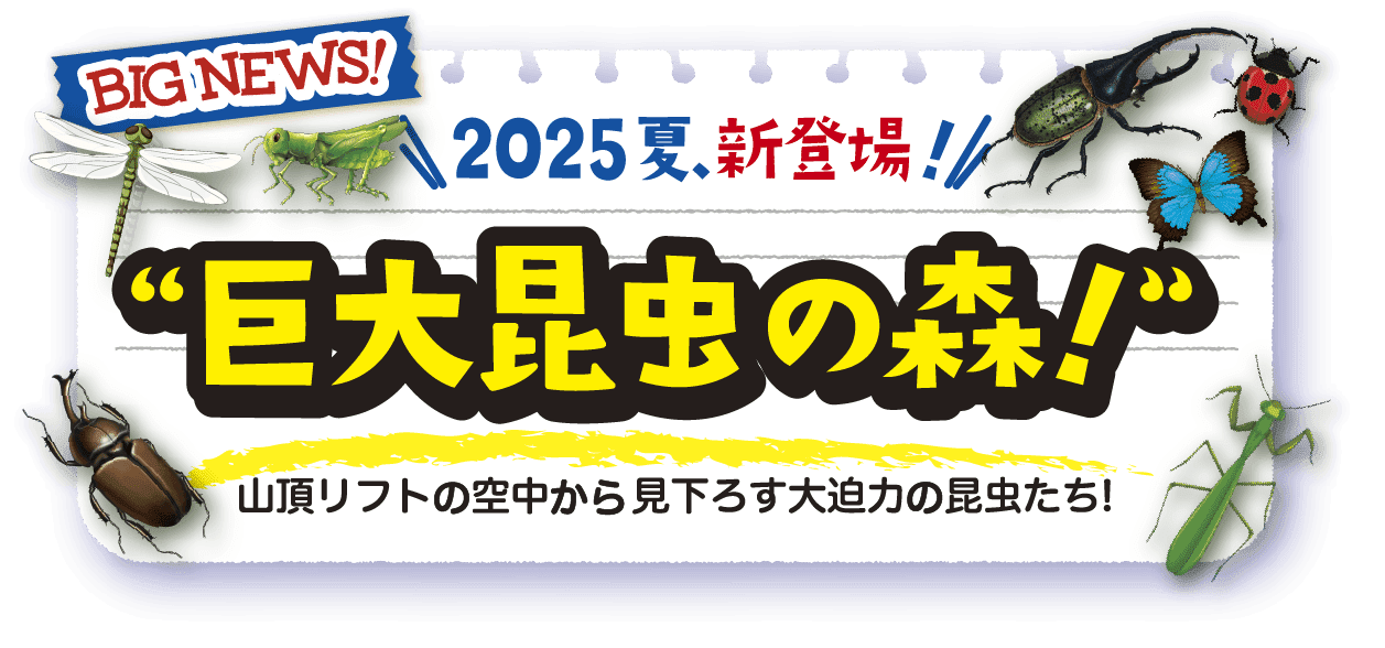 2025夏新登場！巨大昆虫の森！！